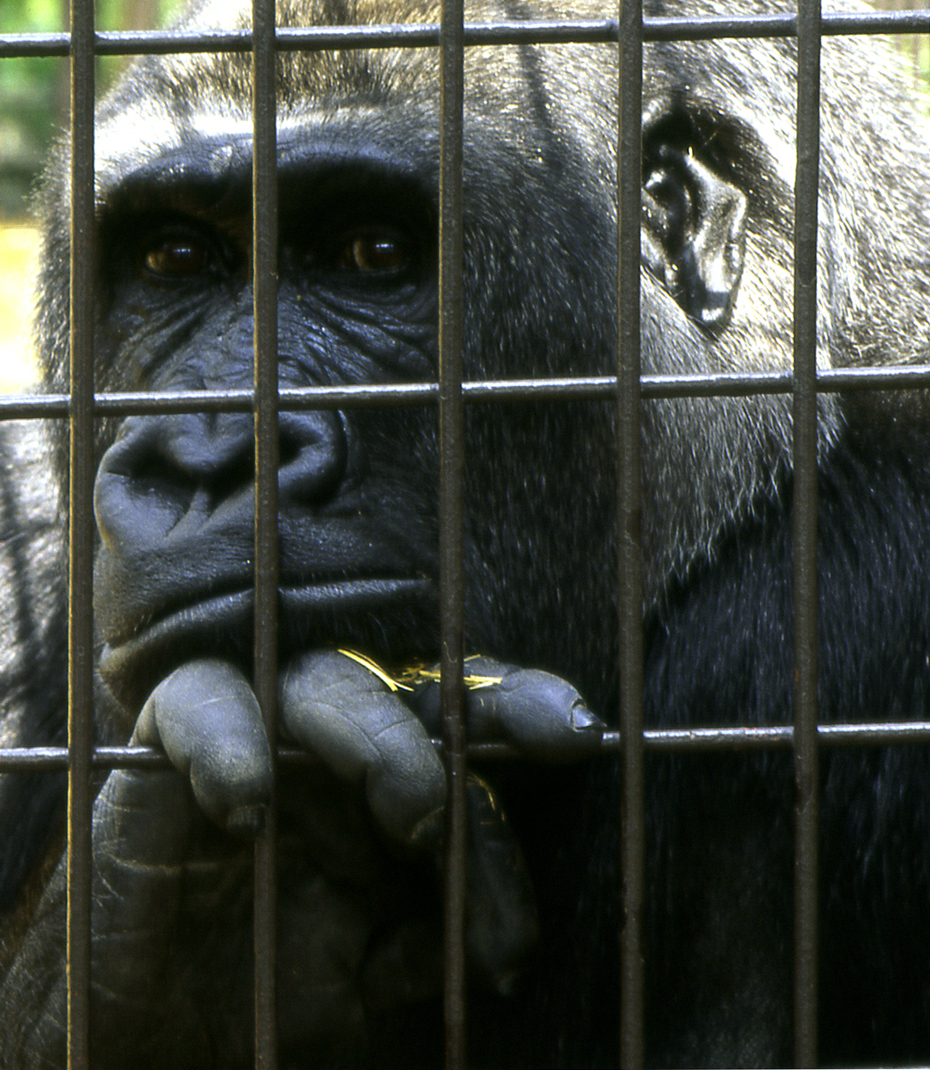 Fotografía por RitaRichter para DesignCrowd (Community Contests) | Diseño #9104515