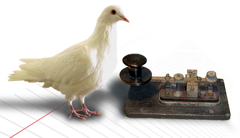 Photoshop-Design von ace2heart für DesignCrowd (Community Contests) | Design #9110899