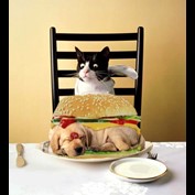 Photoshop Design by JackMack