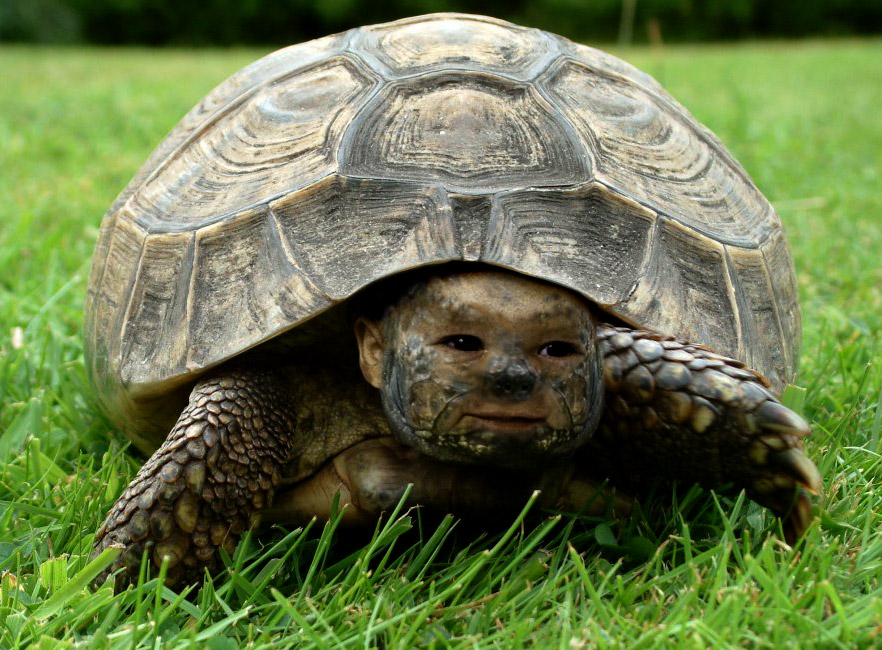 Photoshop Design by jarjeff for DesignCrowd (Community Contests) | Design #9104253