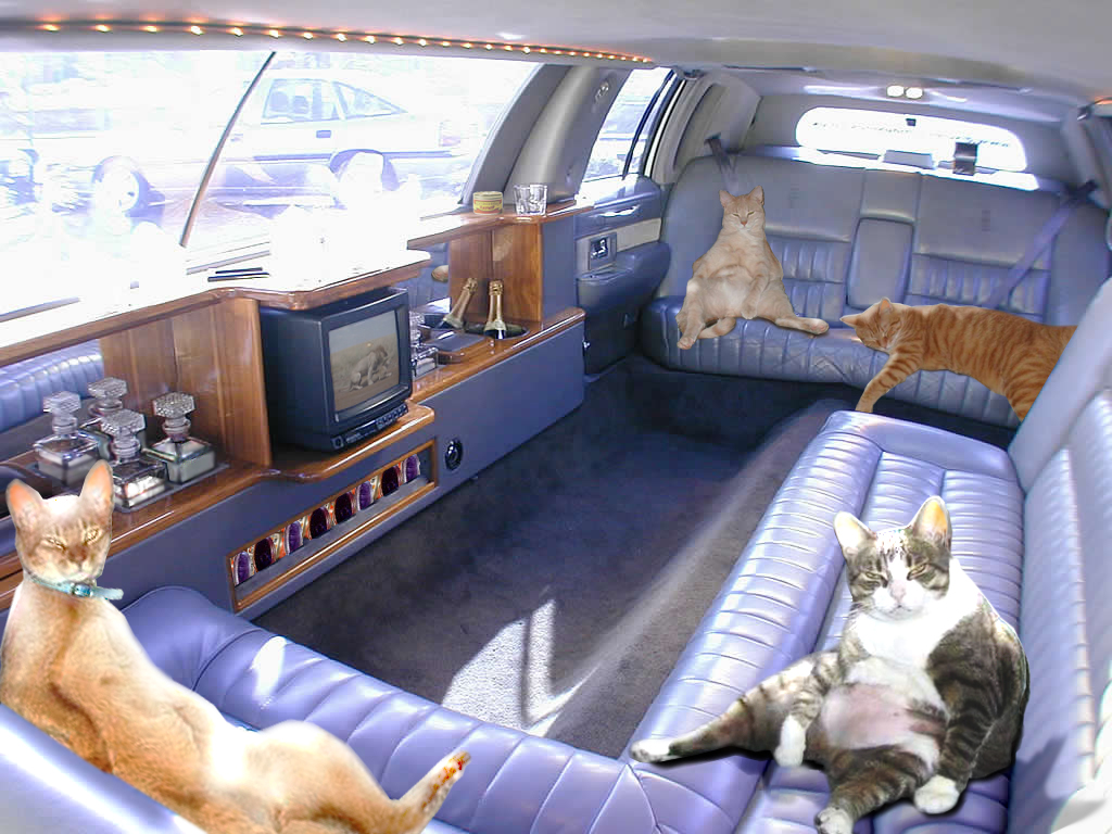 Diseño de Photoshop por Shitrak para DesignCrowd (Community Contests) | Diseño #9110969