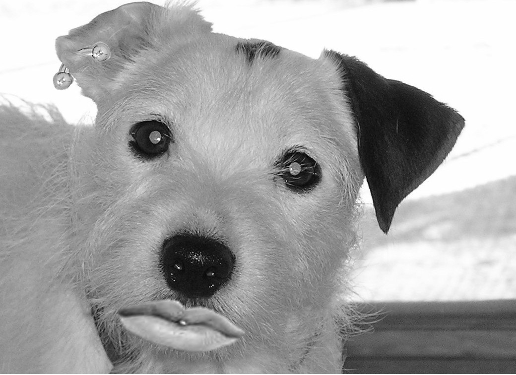 Photoshop Design by bjallen for DesignCrowd (Community Contests) | Design #9104297