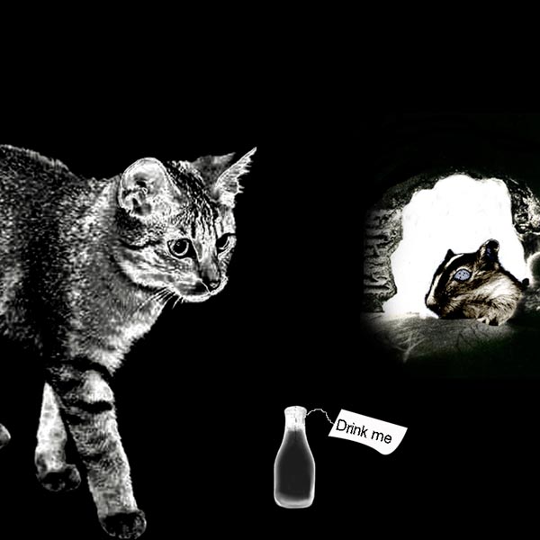 Photoshop Design by nina7701 for DesignCrowd (Community Contests) | Design #9110973