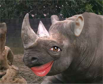 Photoshop Design by jaik77 for DesignCrowd (Community Contests) | Design #9104273