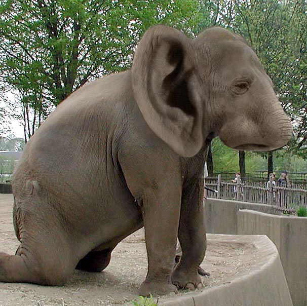 Photoshop Design by eDorie for DesignCrowd (Community Contests) | Design #9104338