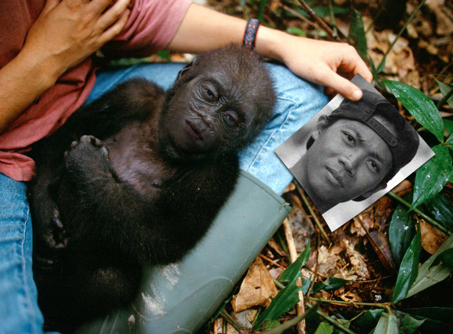 Photoshop Design by vustarama for DesignCrowd (Community Contests) | Design #9104348