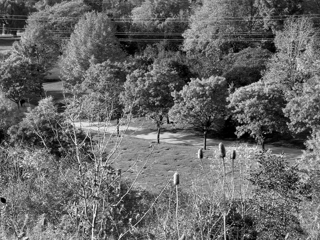 Photography by Melvidar for DesignCrowd (Community Contests) | Design #9101242