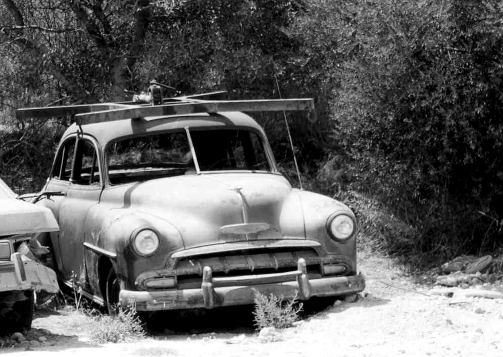 Photography by smilingface for DesignCrowd (Community Contests) | Design #9133527