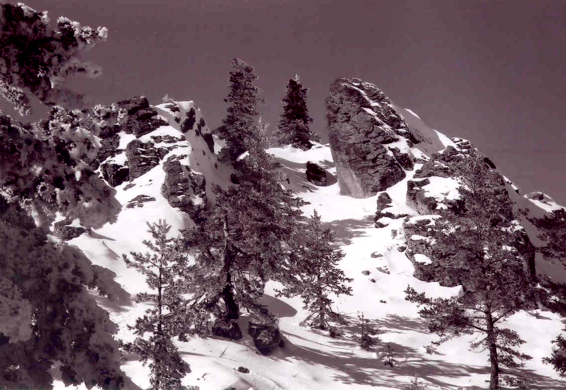 Fotografía por smilingface para DesignCrowd (Community Contests) | Diseño #9101244