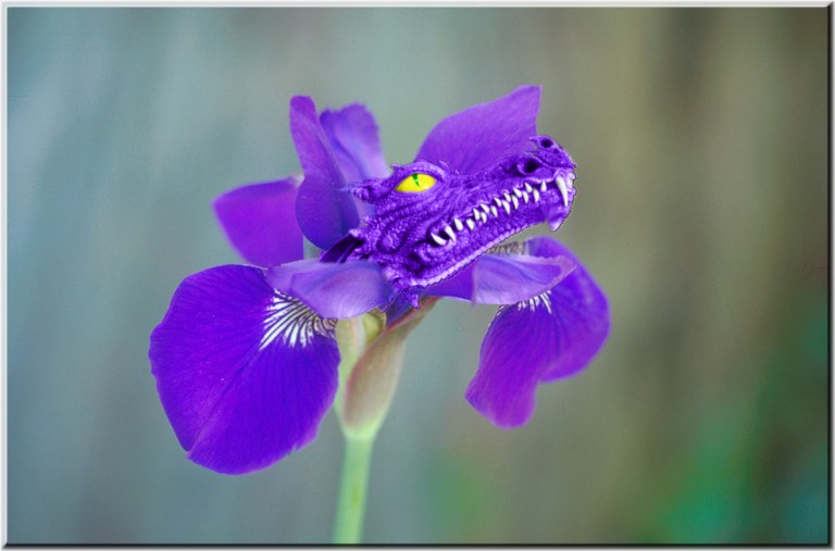 Photoshop Design by empathicdeity for DesignCrowd (Community Contests) | Design #9113215