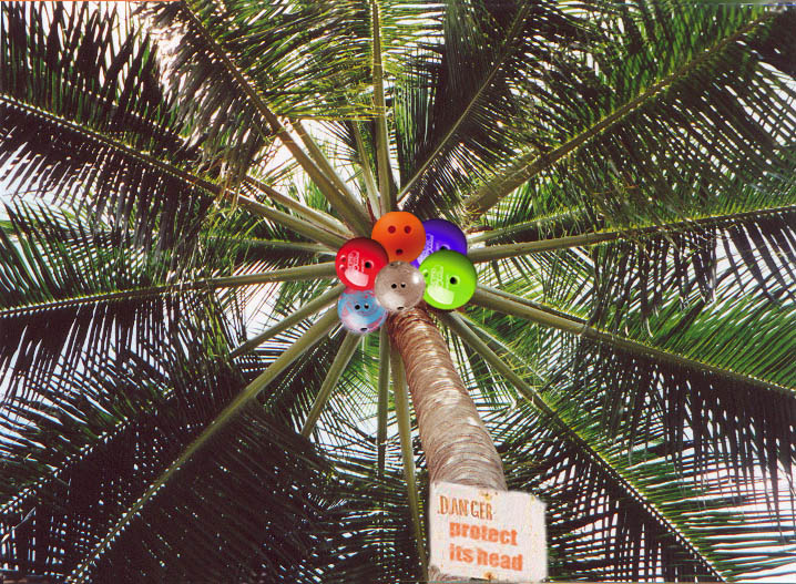 Diseño de Photoshop por cuchoyota para DesignCrowd (Community Contests) | Diseño #9113230