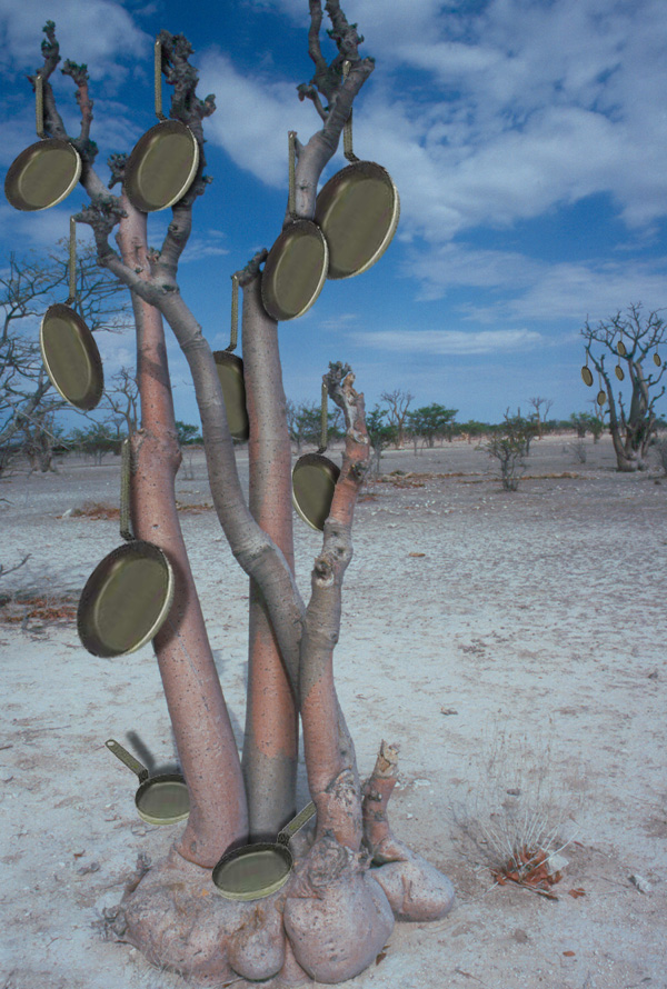 Photoshop-Design von namibman für DesignCrowd (Community Contests) | Design #9113257