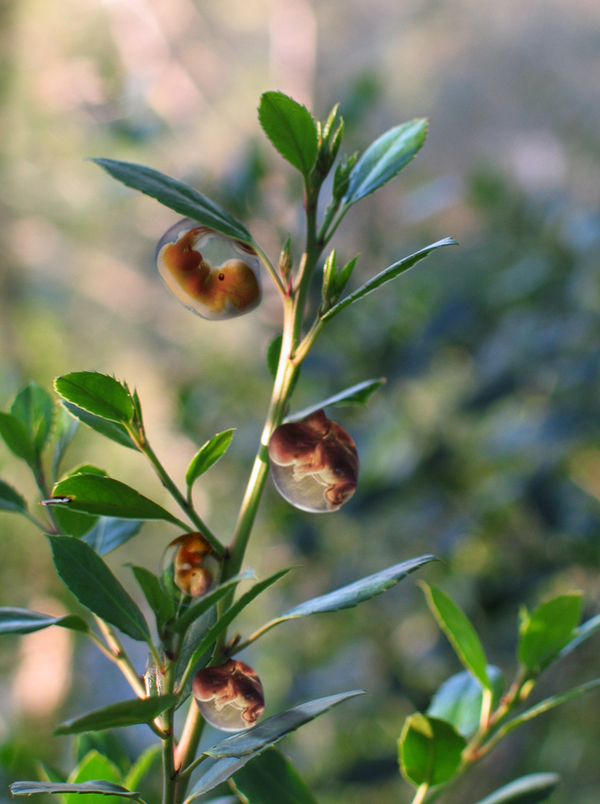 Design Photoshop par wax115 pour DesignCrowd (Community Contests) | Design #9113262