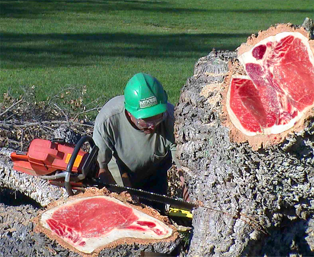 Photoshop Design by Jord for DesignCrowd (Community Contests) | Design #9113237