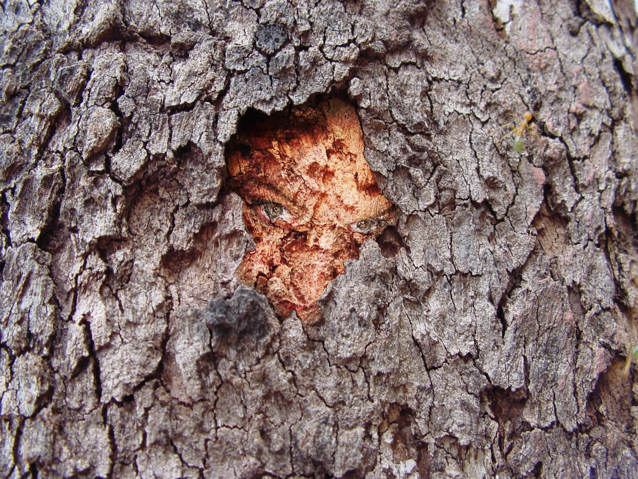 Photoshop Design by BlitzMan for DesignCrowd (Community Contests) | Design #9113299