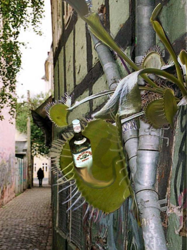 Diseño de Photoshop por Floppglopple para DesignCrowd (Community Contests) | Diseño #9113300