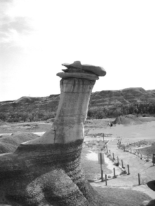 Fotografie von ModelT für DesignCrowd (Community Contests) | Design #9101416