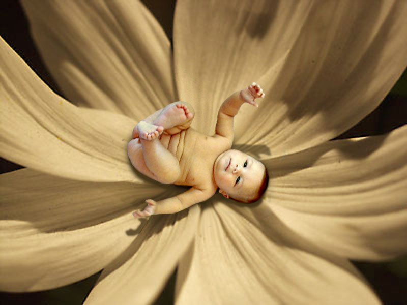 Photoshop Design by synchronicity for DesignCrowd (Community Contests) | Design #9113285