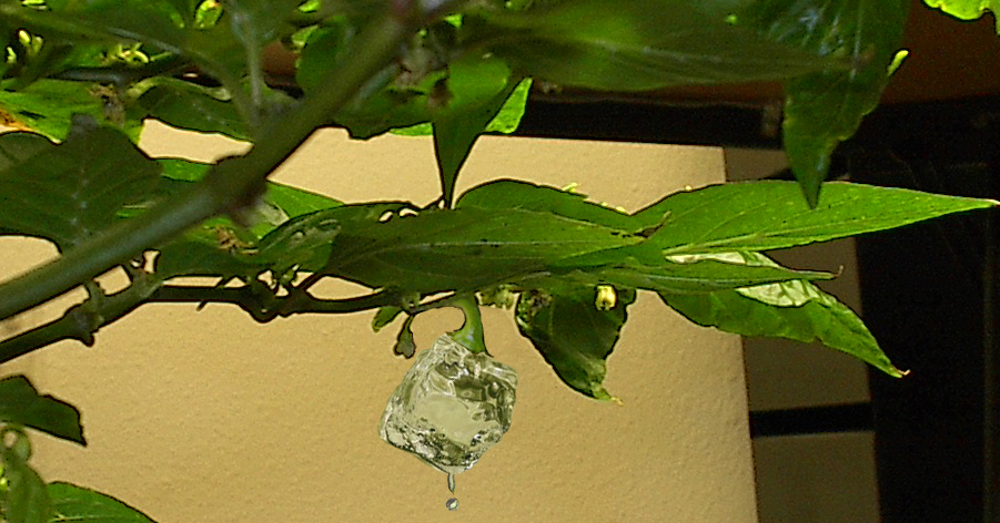 Photoshop Design by SubieDriver for DesignCrowd (Community Contests) | Design #9113321