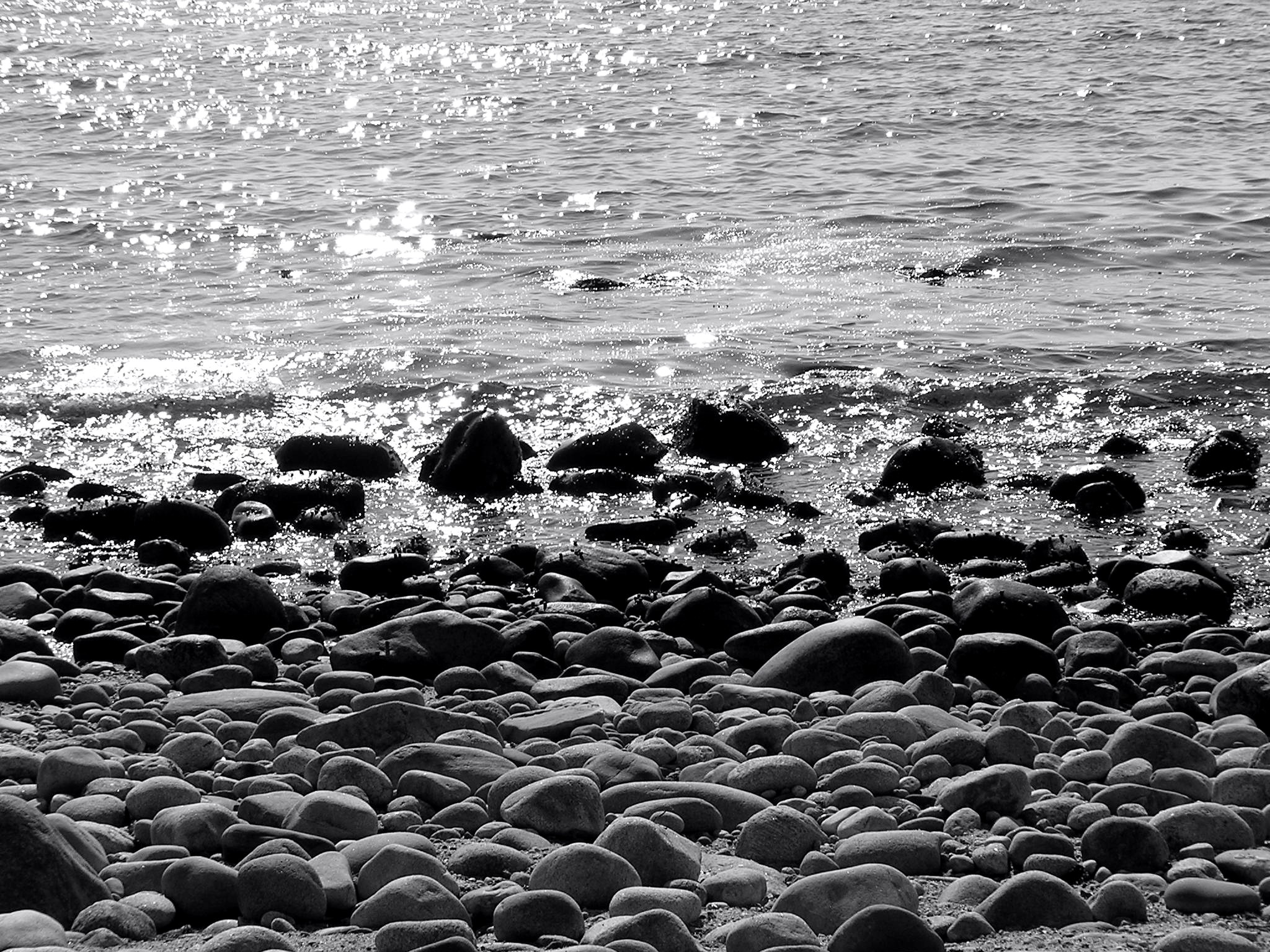 Photography by bjallen for DesignCrowd (Community Contests) | Design #9101448