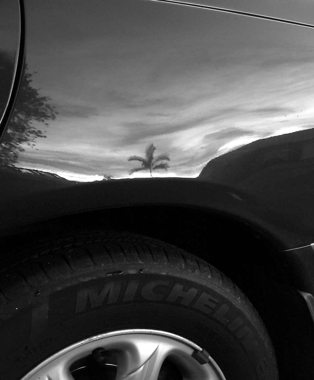 Photographie par mated1976 pour DesignCrowd (Community Contests) | Design #9133577