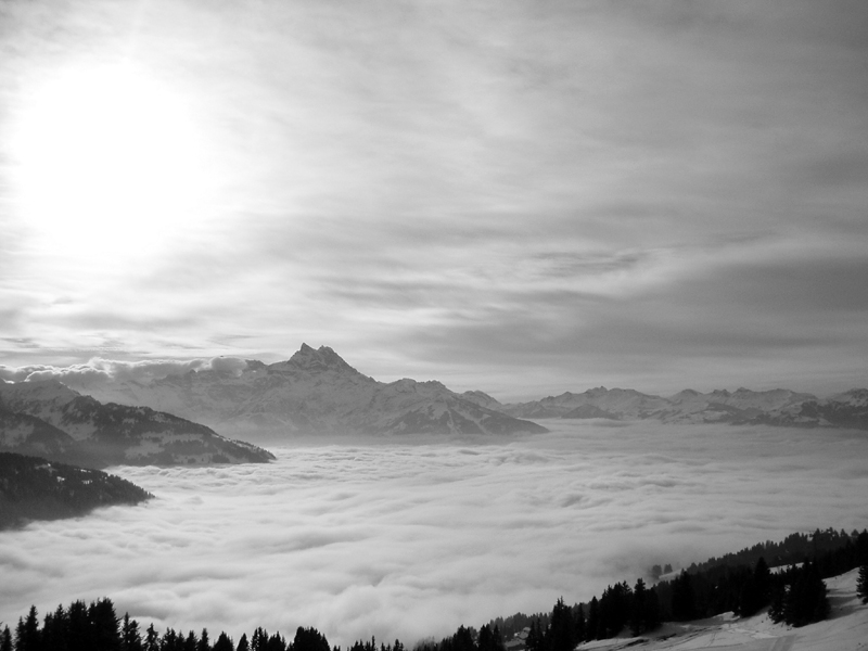 Photography by DaiMarzipan for DesignCrowd (Community Contests) | Design #9101345