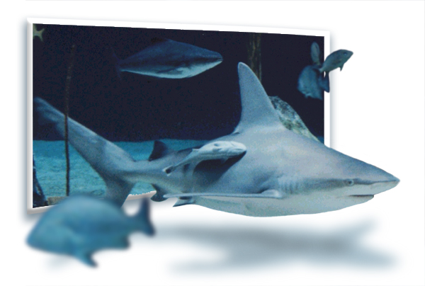 Diseño de Photoshop por ArtGuy para DesignCrowd (Community Contests) | Diseño #9103425