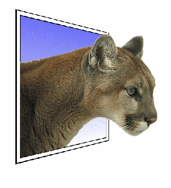 Design Photoshop par Pazaahhh pour DesignCrowd (Community Contests) | Design #9103444