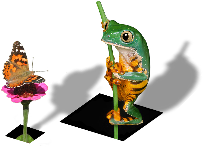 Photoshop Design by jmbaggs for DesignCrowd (Community Contests) | Design #9103429