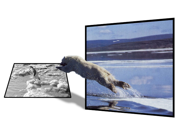 Photoshop Design by XXXXXPP for DesignCrowd (Community Contests) | Design #9103448