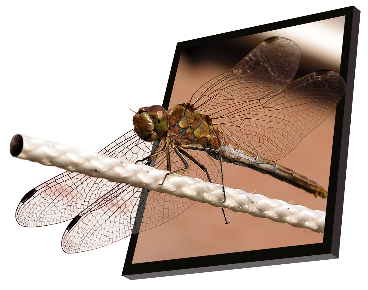 Photoshop Design by MadWasabi for DesignCrowd (Community Contests) | Design #9103434
