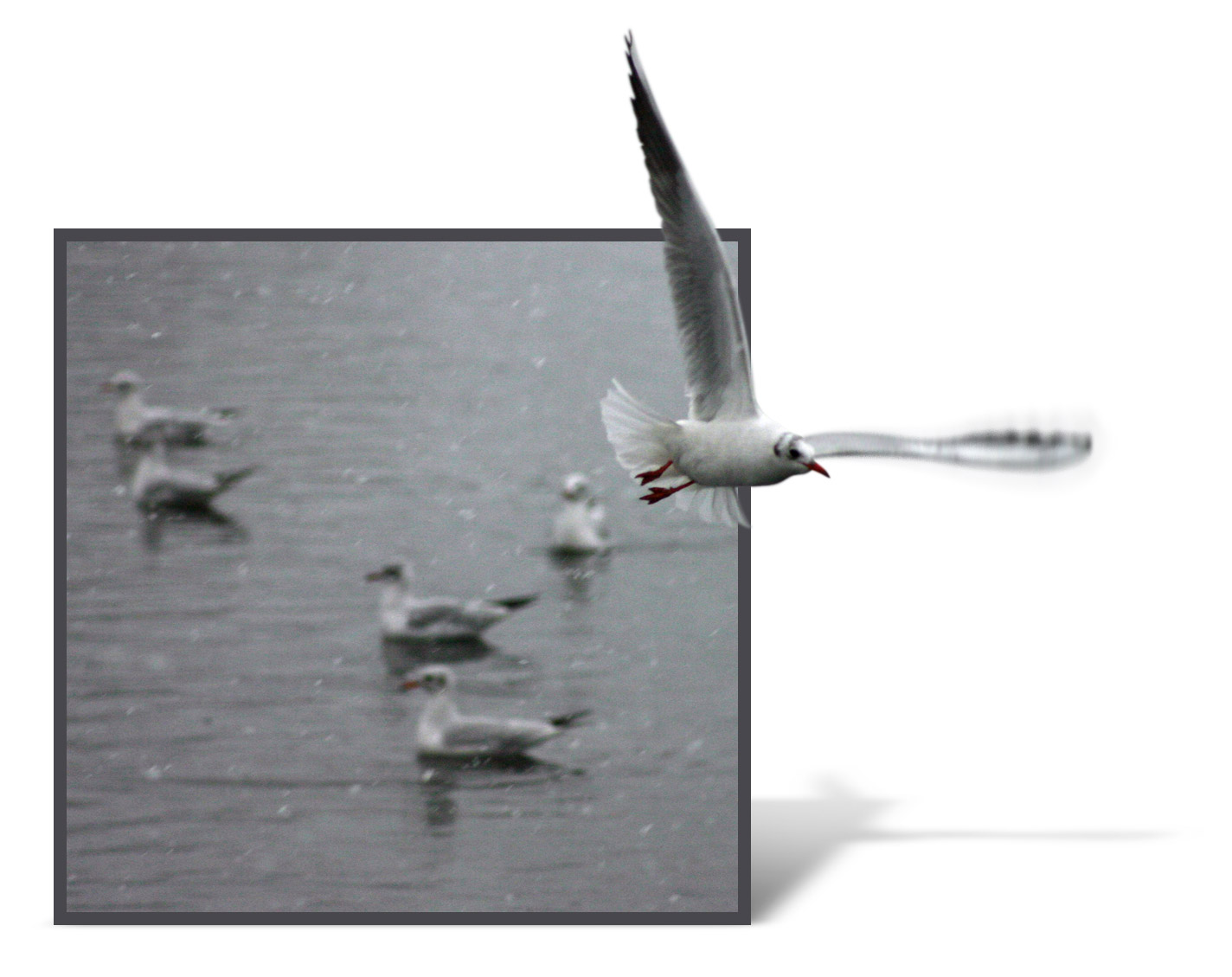 Design Photoshop par wax115 pour DesignCrowd (Community Contests) | Design #9103528