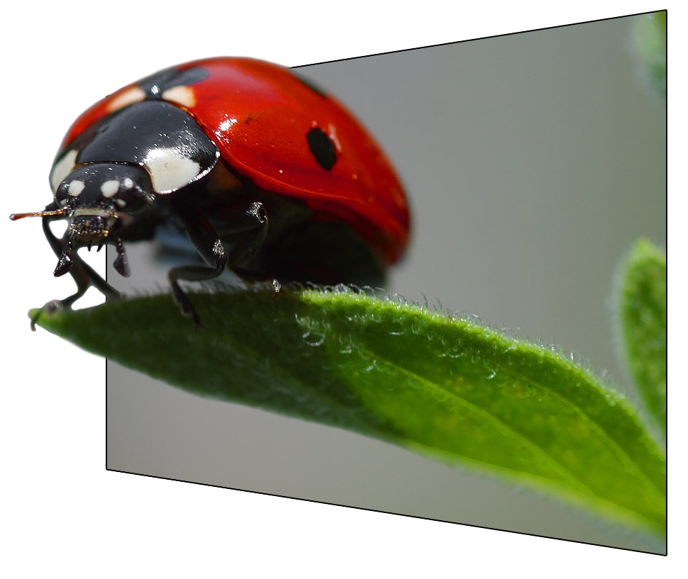 Photoshop-Design von Binder für DesignCrowd (Community Contests) | Design #9103469