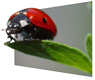 Photoshop Design by Binder