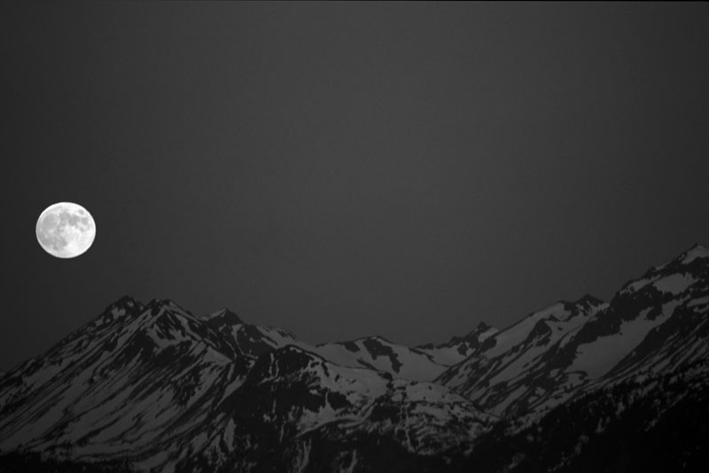 Photographie par CoolHandLuke pour DesignCrowd (Community Contests) | Design #9101625