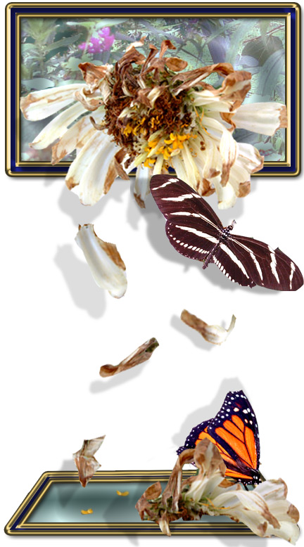 Diseño de Photoshop por Terrence para DesignCrowd (Community Contests) | Diseño #9103643