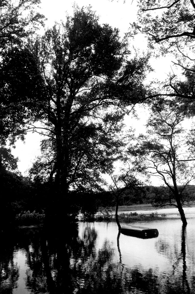 Photographie par blurmore pour DesignCrowd (Community Contests) | Design #9101502