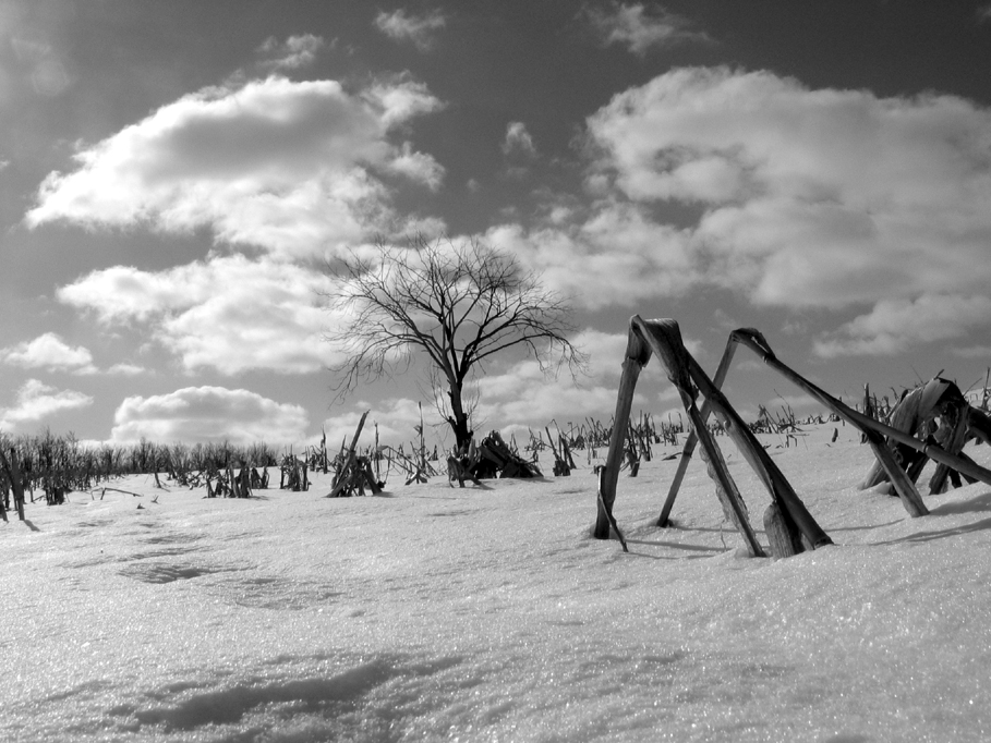 Photography by dinostar for DesignCrowd (Community Contests) | Design #9101493