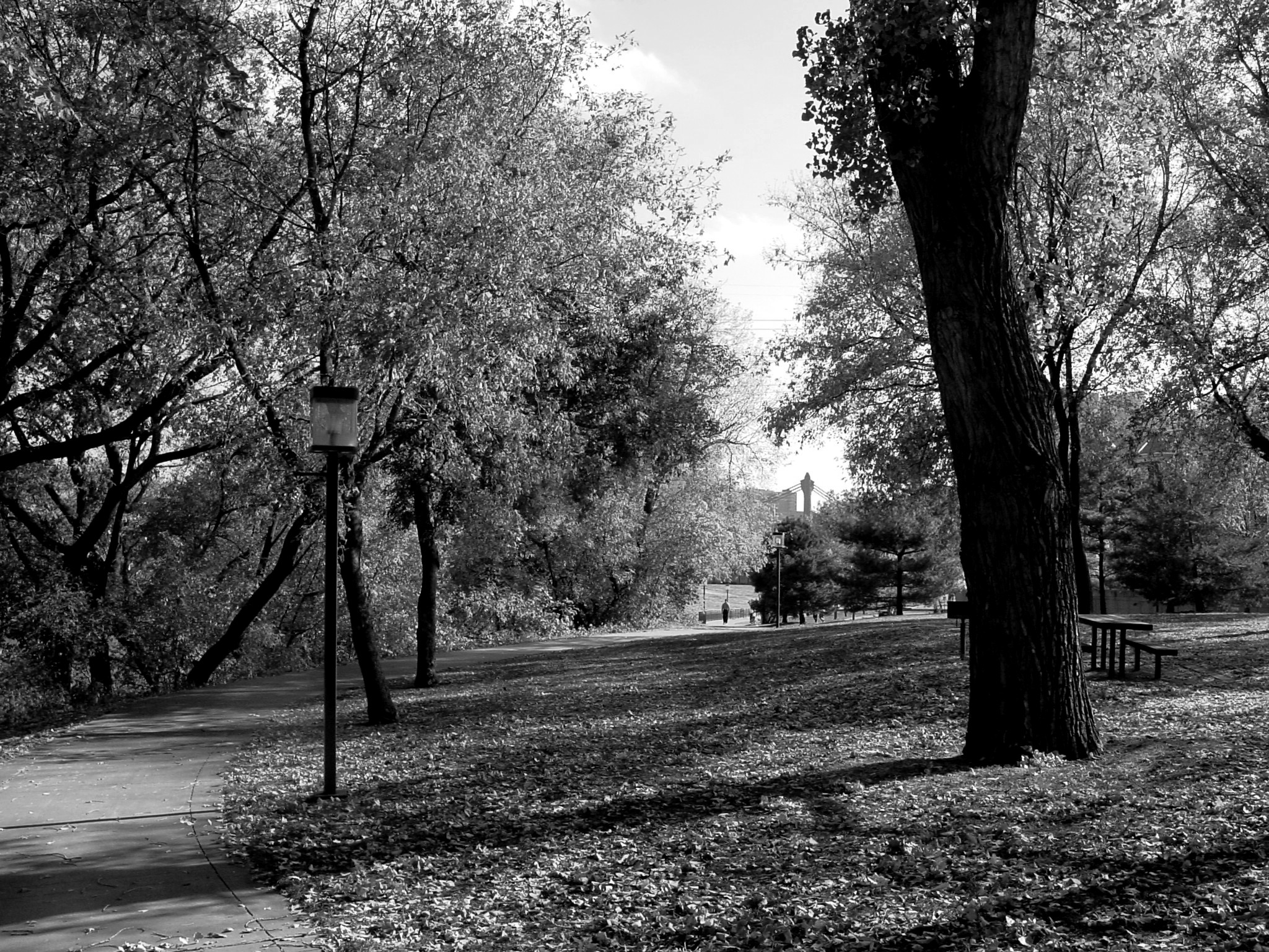 Photography by yusaku for DesignCrowd (Community Contests) | Design #9101519