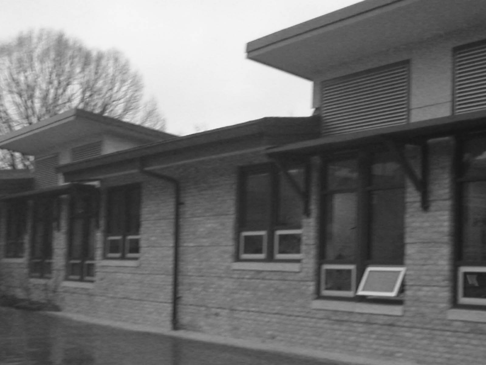 Photography by chelseafan222 for DesignCrowd (Community Contests) | Design #9101602