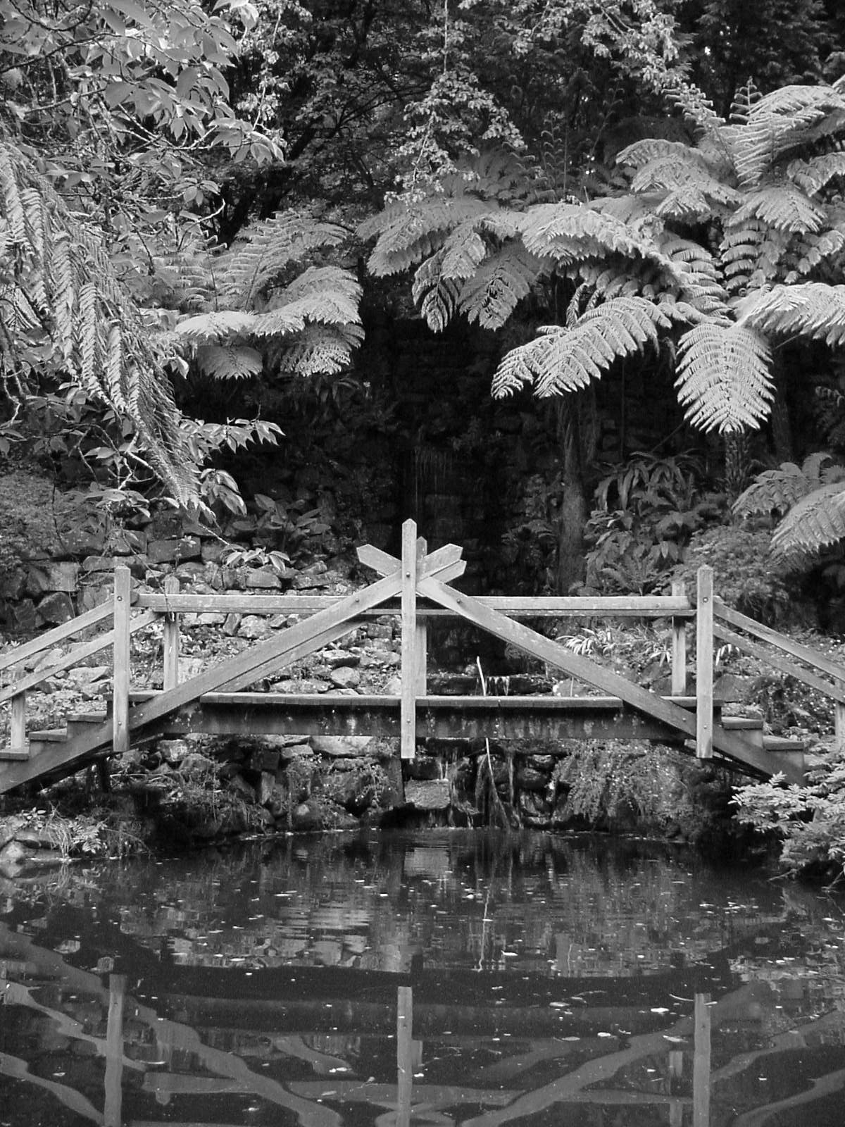 Fotografía por Nitehawk para DesignCrowd (Community Contests) | Diseño #9101592