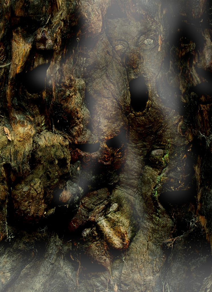 Photoshop Design by Memosmos for DesignCrowd (Community Contests) | Design #9132746