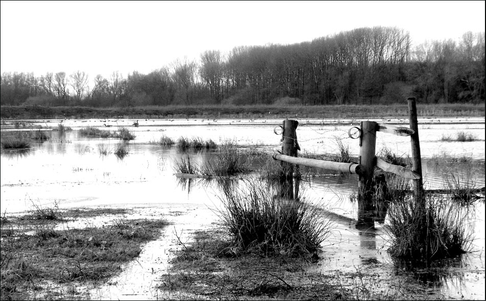 Photography by KChris for DesignCrowd (Community Contests) | Design #9101532