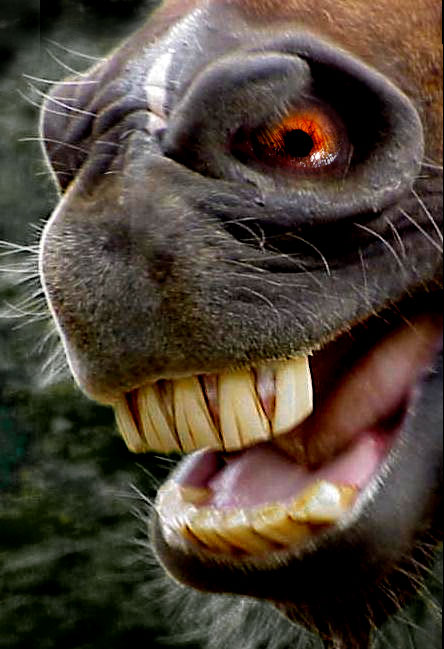 Photoshop Design by eDorie for DesignCrowd (Community Contests) | Design #9132768