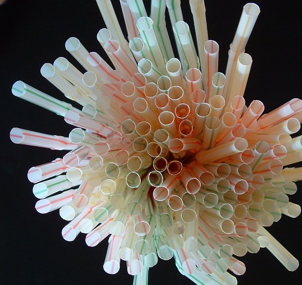 Fotografie von MrsFuzzButt für DesignCrowd (Community Contests) | Design #9132435