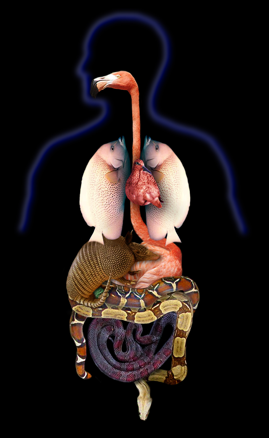 Photoshop Design by Norrit for DesignCrowd (Community Contests) | Design #9113172