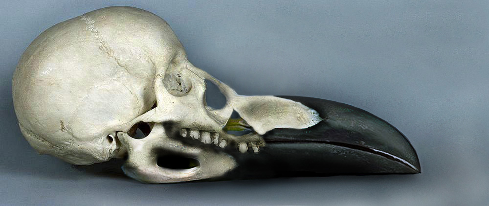 Photoshop Design by Phantazmo for DesignCrowd (Community Contests) | Design #9113142