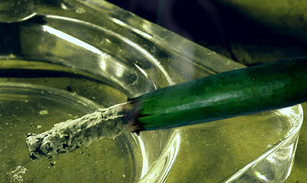 Diseño de Photoshop por DestinationCreation para DesignCrowd (Community Contests) | Diseño #9132196