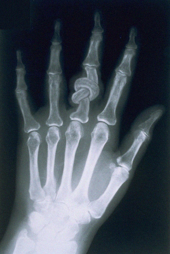 Photoshop Design by Nicky666 for DesignCrowd (Community Contests) | Design #9113184