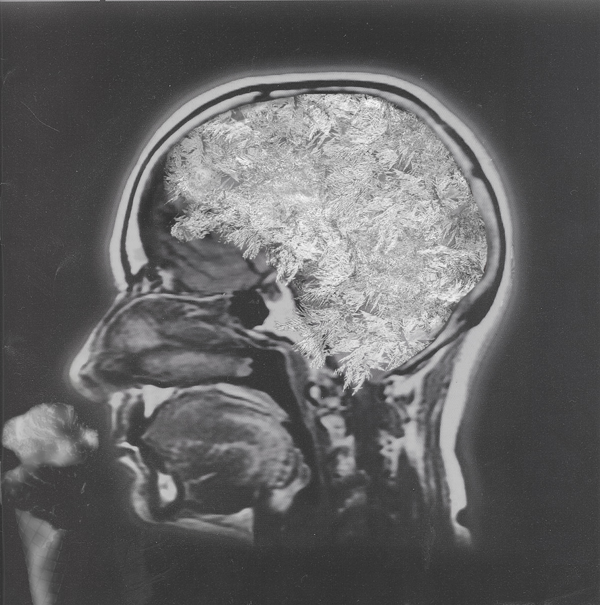 Photoshop Design by dollyllama for DesignCrowd (Community Contests) | Design #9113221